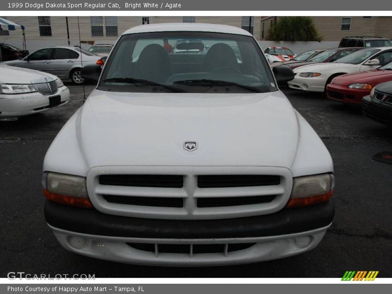 Bright White / Agate 1999 Dodge Dakota Sport Regular Cab