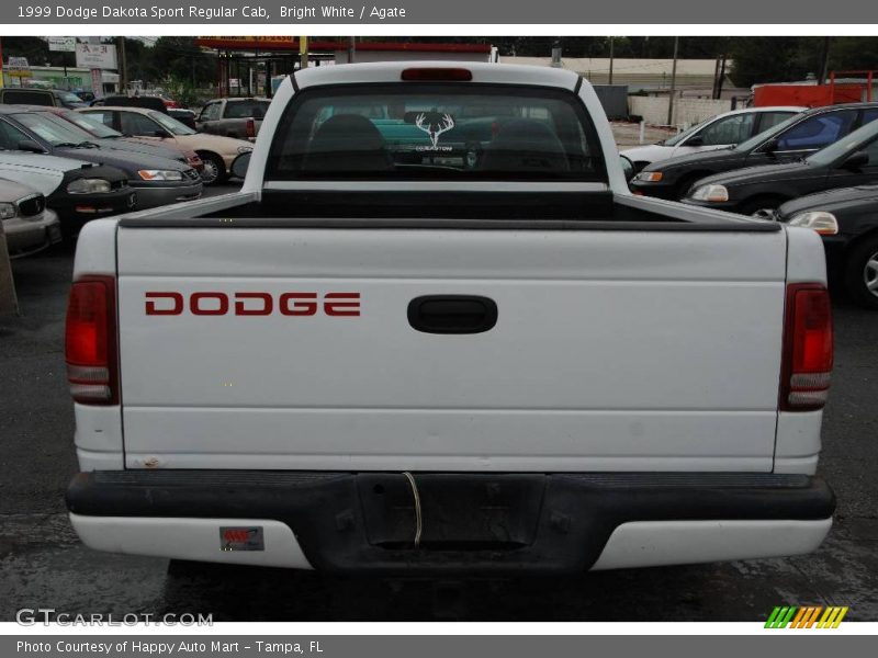 Bright White / Agate 1999 Dodge Dakota Sport Regular Cab