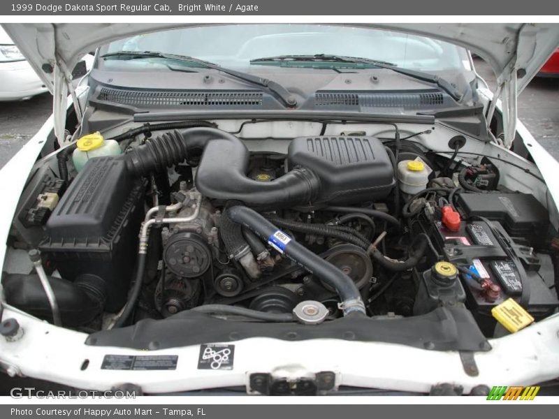 Bright White / Agate 1999 Dodge Dakota Sport Regular Cab