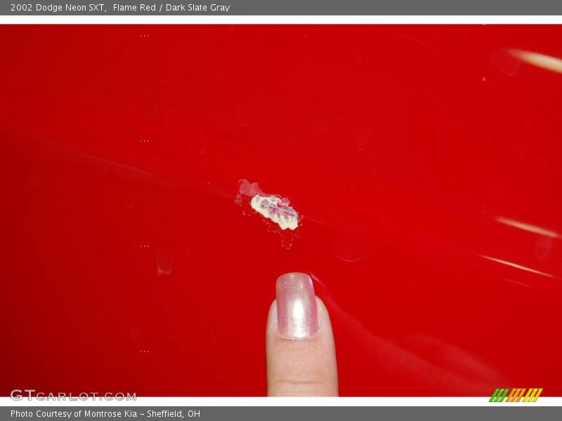 Flame Red / Dark Slate Gray 2002 Dodge Neon SXT