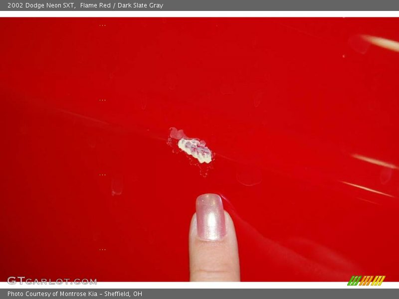 Flame Red / Dark Slate Gray 2002 Dodge Neon SXT