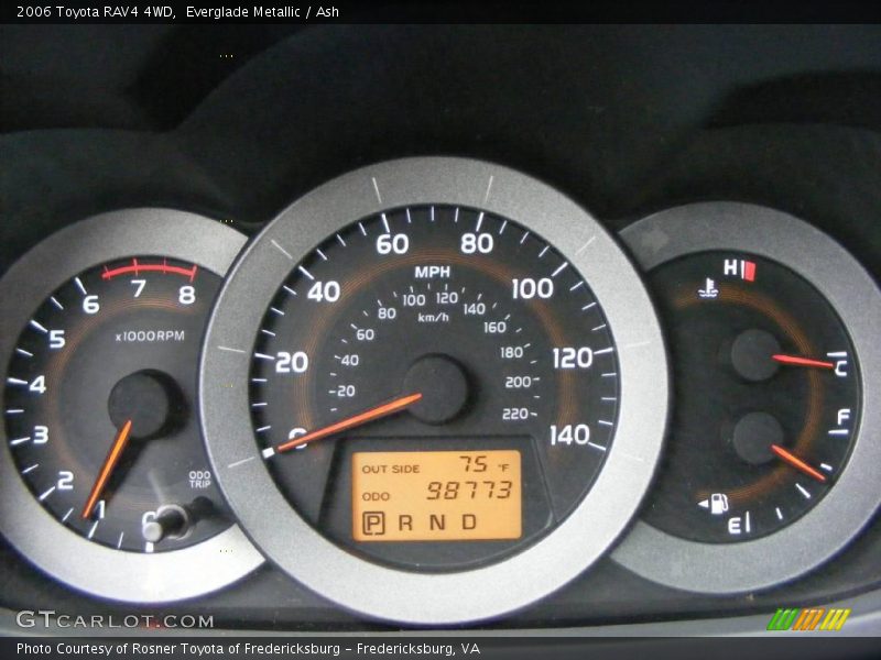 Everglade Metallic / Ash 2006 Toyota RAV4 4WD