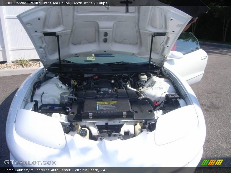 Arctic White / Taupe 2000 Pontiac Firebird Trans Am Coupe