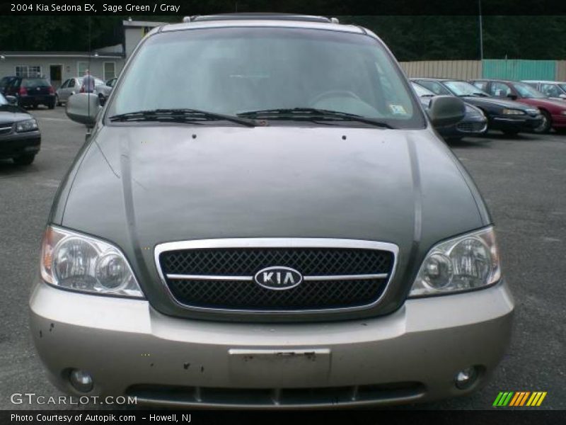 Sage Green / Gray 2004 Kia Sedona EX