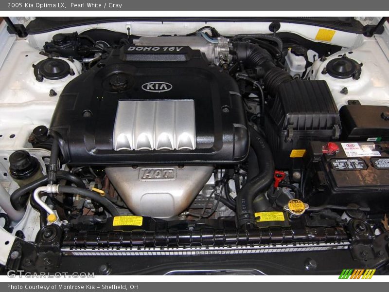 Pearl White / Gray 2005 Kia Optima LX