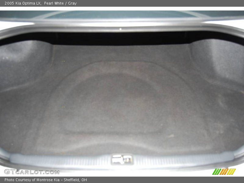 Pearl White / Gray 2005 Kia Optima LX