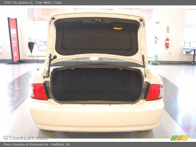 Pearl White / Gray 2005 Kia Optima LX