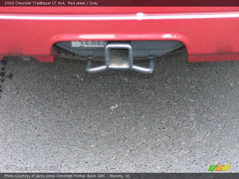 Red Jewel / Gray 2009 Chevrolet TrailBlazer LT 4x4