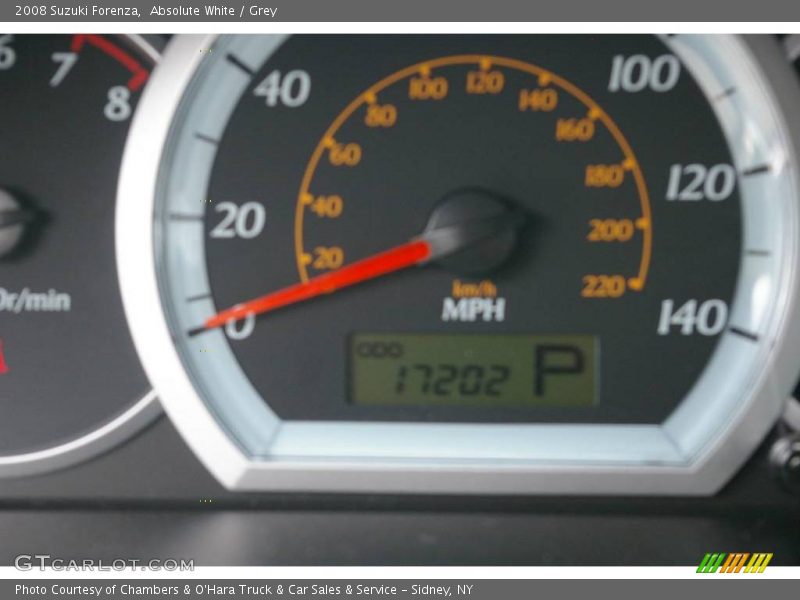 Absolute White / Grey 2008 Suzuki Forenza