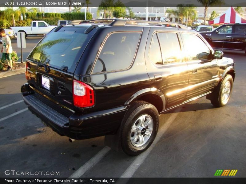 Ebony Black / Beige 2001 Isuzu Rodeo LS