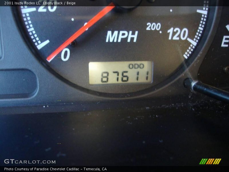 Ebony Black / Beige 2001 Isuzu Rodeo LS
