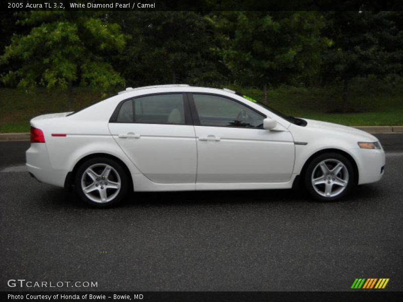 White Diamond Pearl / Camel 2005 Acura TL 3.2