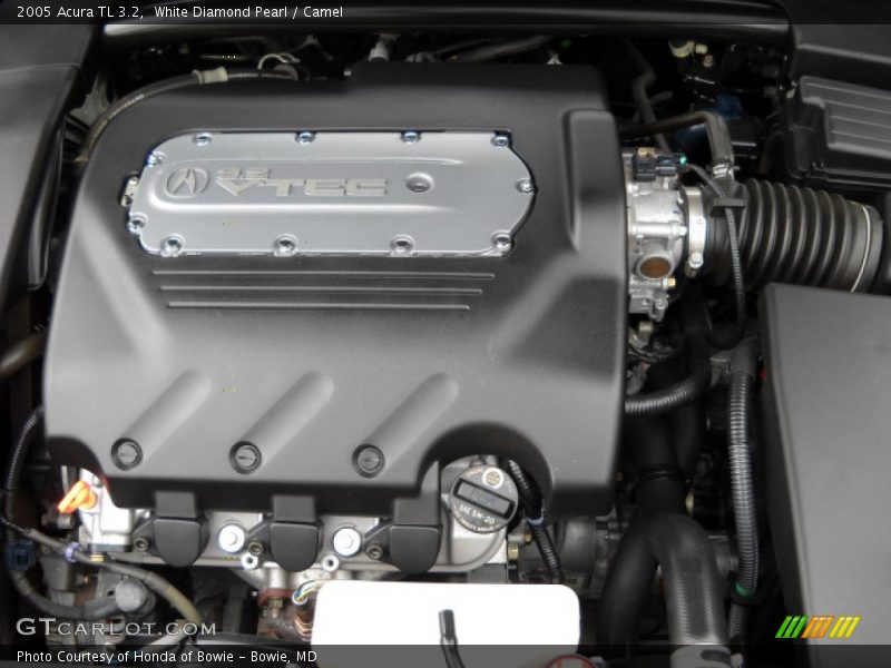 White Diamond Pearl / Camel 2005 Acura TL 3.2