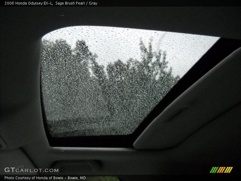 Sage Brush Pearl / Gray 2006 Honda Odyssey EX-L