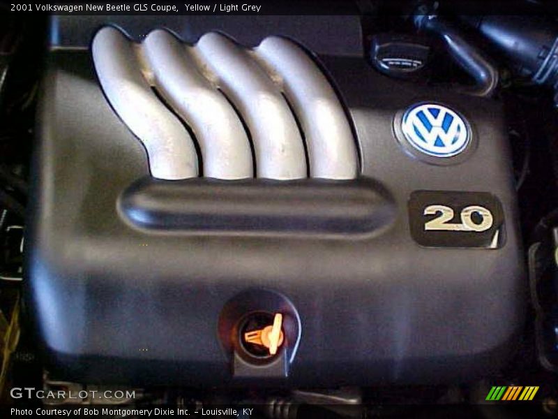 Yellow / Light Grey 2001 Volkswagen New Beetle GLS Coupe