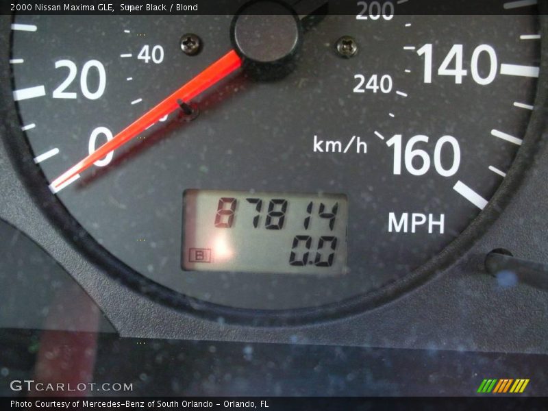 Super Black / Blond 2000 Nissan Maxima GLE