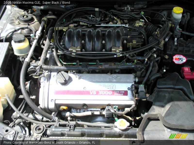 Super Black / Blond 2000 Nissan Maxima GLE