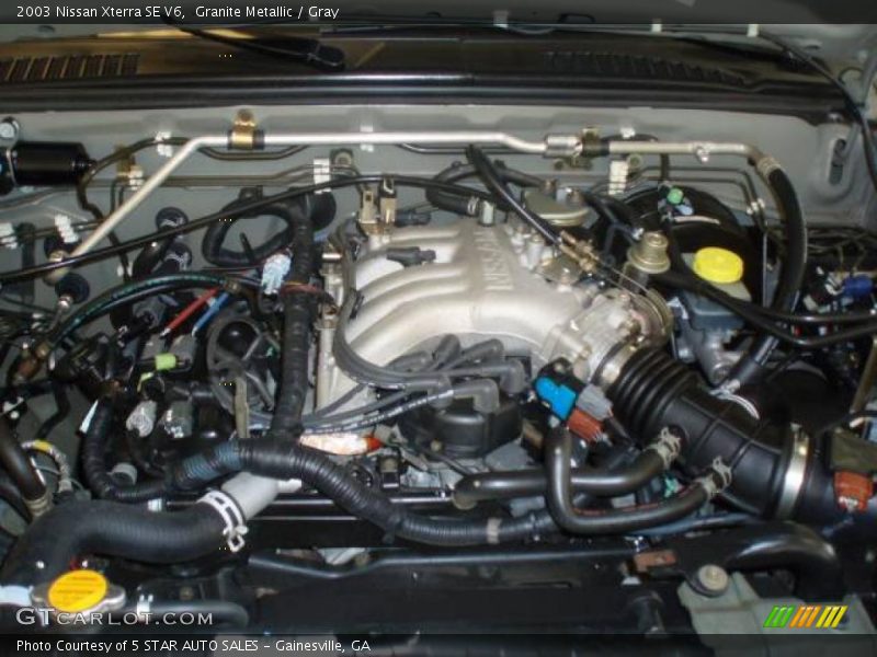 Granite Metallic / Gray 2003 Nissan Xterra SE V6