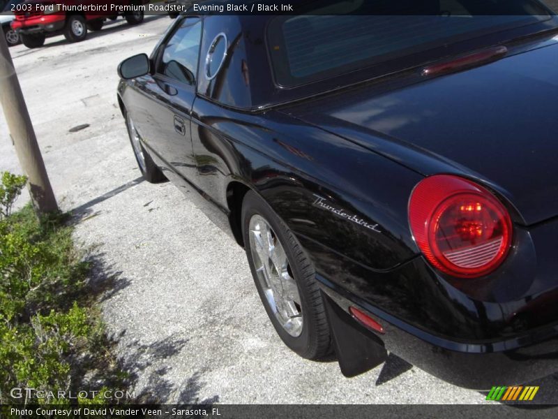 Evening Black / Black Ink 2003 Ford Thunderbird Premium Roadster