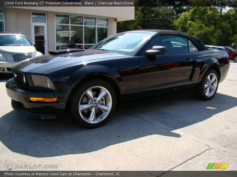Black / Charcoal Black/Dove 2008 Ford Mustang GT Premium Convertible