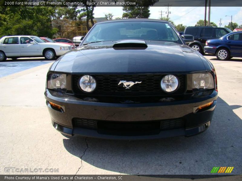 Black / Charcoal Black/Dove 2008 Ford Mustang GT Premium Convertible