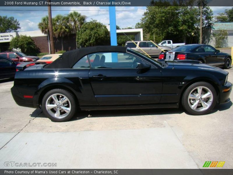 Black / Charcoal Black/Dove 2008 Ford Mustang GT Premium Convertible