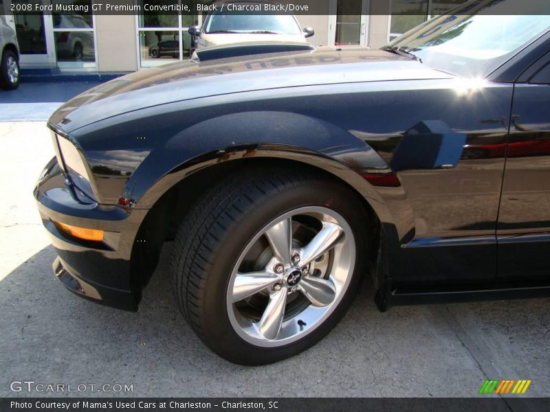 Black / Charcoal Black/Dove 2008 Ford Mustang GT Premium Convertible