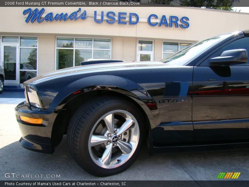 Black / Charcoal Black/Dove 2008 Ford Mustang GT Premium Convertible
