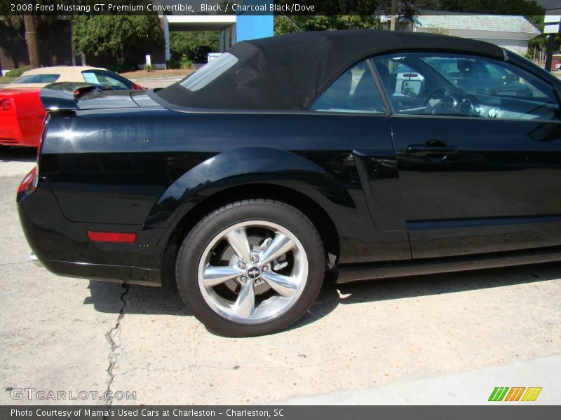 Black / Charcoal Black/Dove 2008 Ford Mustang GT Premium Convertible