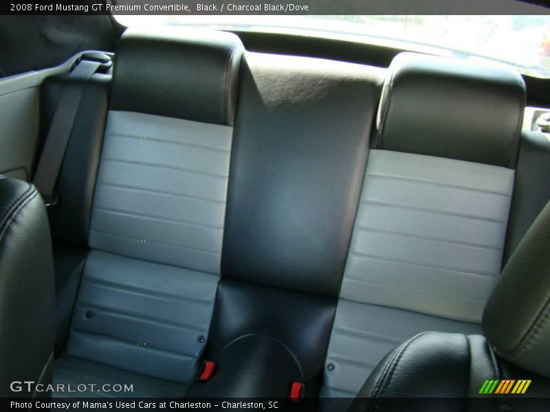 Black / Charcoal Black/Dove 2008 Ford Mustang GT Premium Convertible