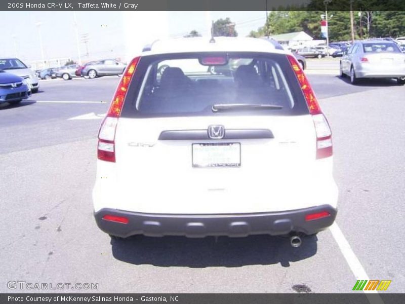 Taffeta White / Gray 2009 Honda CR-V LX