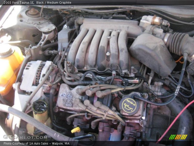 Black / Medium Graphite 2003 Ford Taurus SE