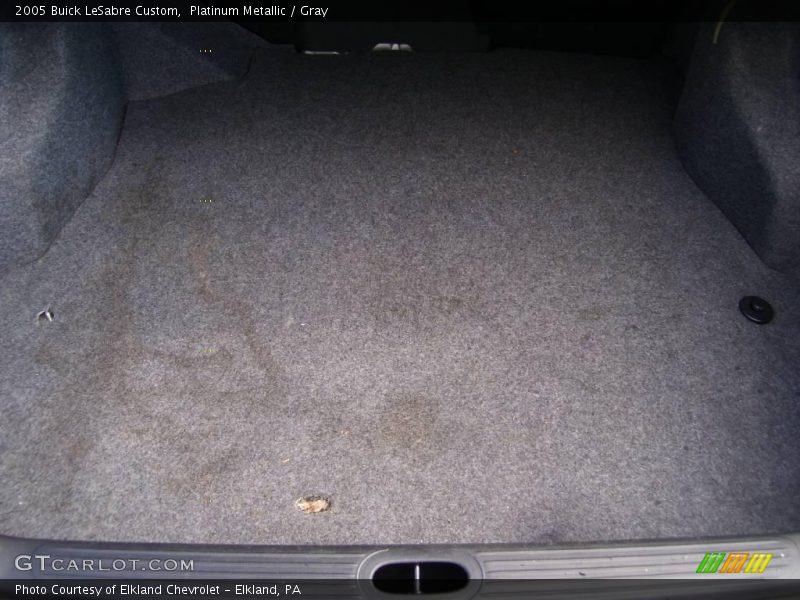 Platinum Metallic / Gray 2005 Buick LeSabre Custom