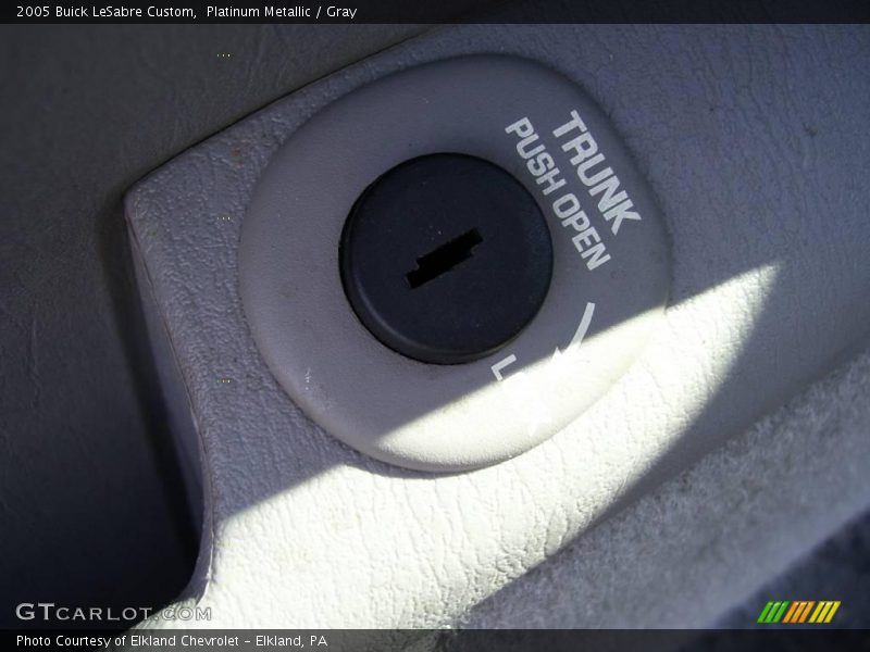 Platinum Metallic / Gray 2005 Buick LeSabre Custom