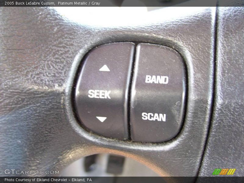 Platinum Metallic / Gray 2005 Buick LeSabre Custom