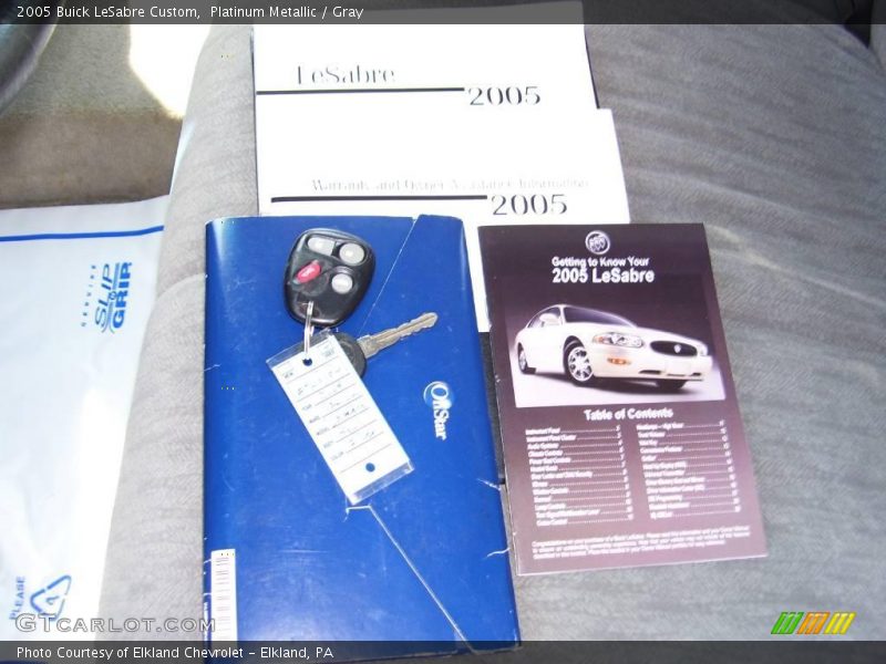 Platinum Metallic / Gray 2005 Buick LeSabre Custom