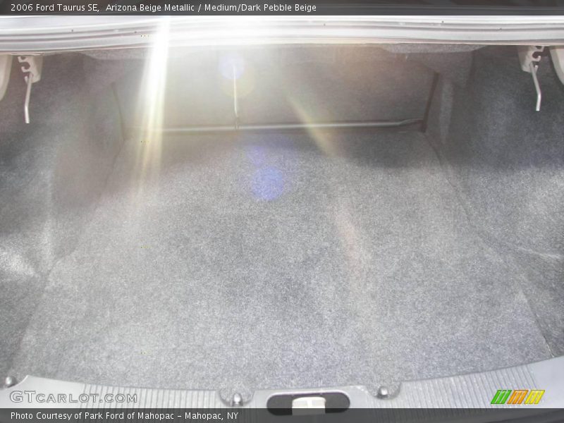 Arizona Beige Metallic / Medium/Dark Pebble Beige 2006 Ford Taurus SE