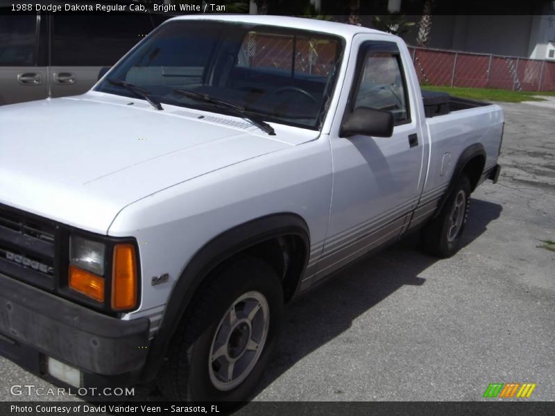 Bright White / Tan 1988 Dodge Dakota Regular Cab