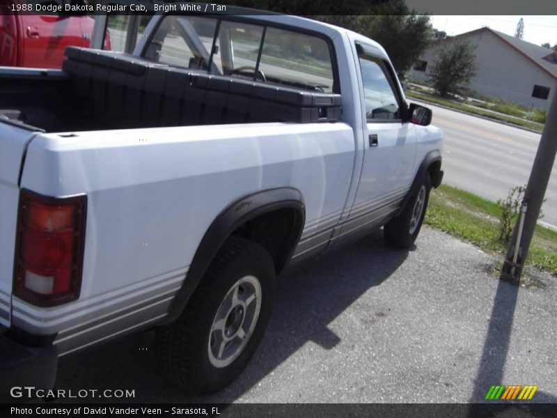 Bright White / Tan 1988 Dodge Dakota Regular Cab