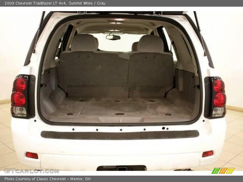 Summit White / Gray 2009 Chevrolet TrailBlazer LT 4x4