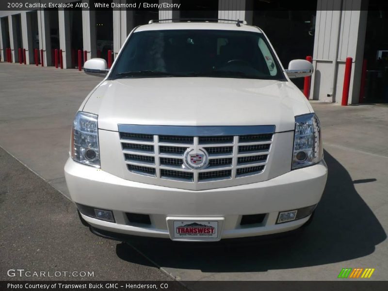 White Diamond / Ebony/Ebony 2009 Cadillac Escalade AWD