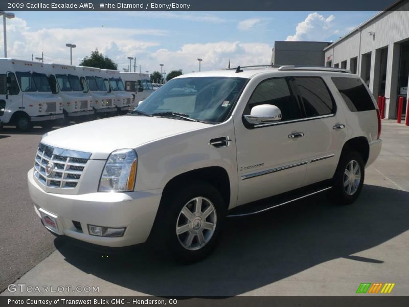White Diamond / Ebony/Ebony 2009 Cadillac Escalade AWD
