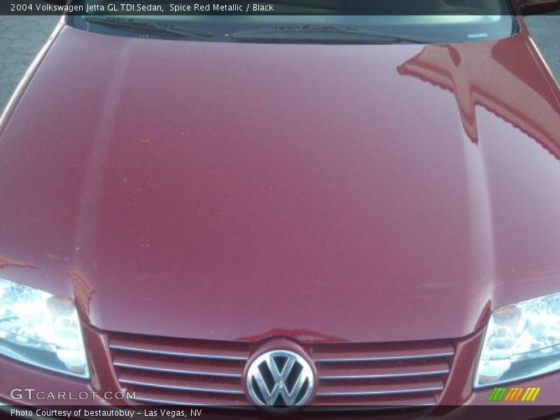 Spice Red Metallic / Black 2004 Volkswagen Jetta GL TDI Sedan