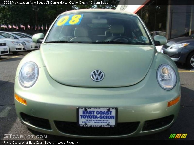 Gecko Green / Cream Beige 2008 Volkswagen New Beetle SE Convertible