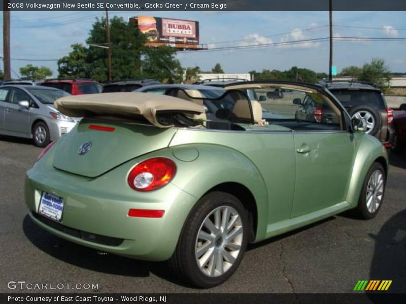 Gecko Green / Cream Beige 2008 Volkswagen New Beetle SE Convertible