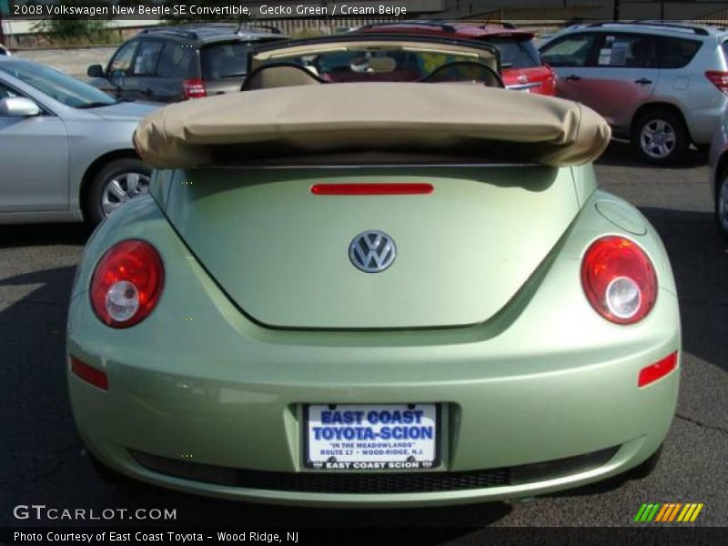Gecko Green / Cream Beige 2008 Volkswagen New Beetle SE Convertible