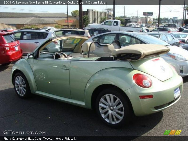Gecko Green / Cream Beige 2008 Volkswagen New Beetle SE Convertible