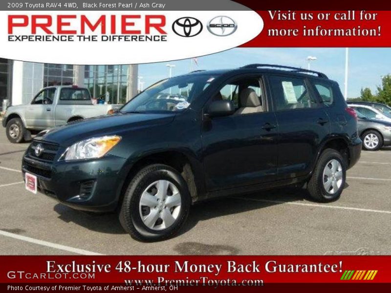 Black Forest Pearl / Ash Gray 2009 Toyota RAV4 4WD