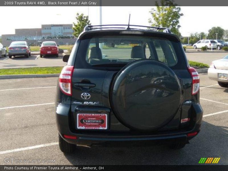 Black Forest Pearl / Ash Gray 2009 Toyota RAV4 4WD