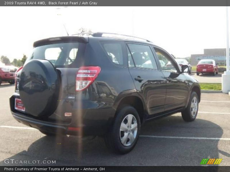 Black Forest Pearl / Ash Gray 2009 Toyota RAV4 4WD